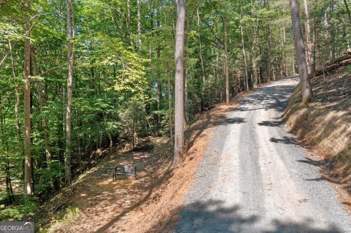 542 Beaver Lake Drive Ellijay - 28