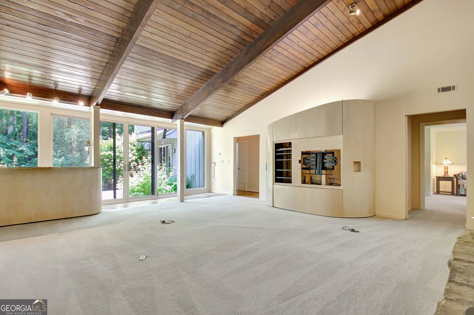113 Camp Creek Trail Peachtree City - 10