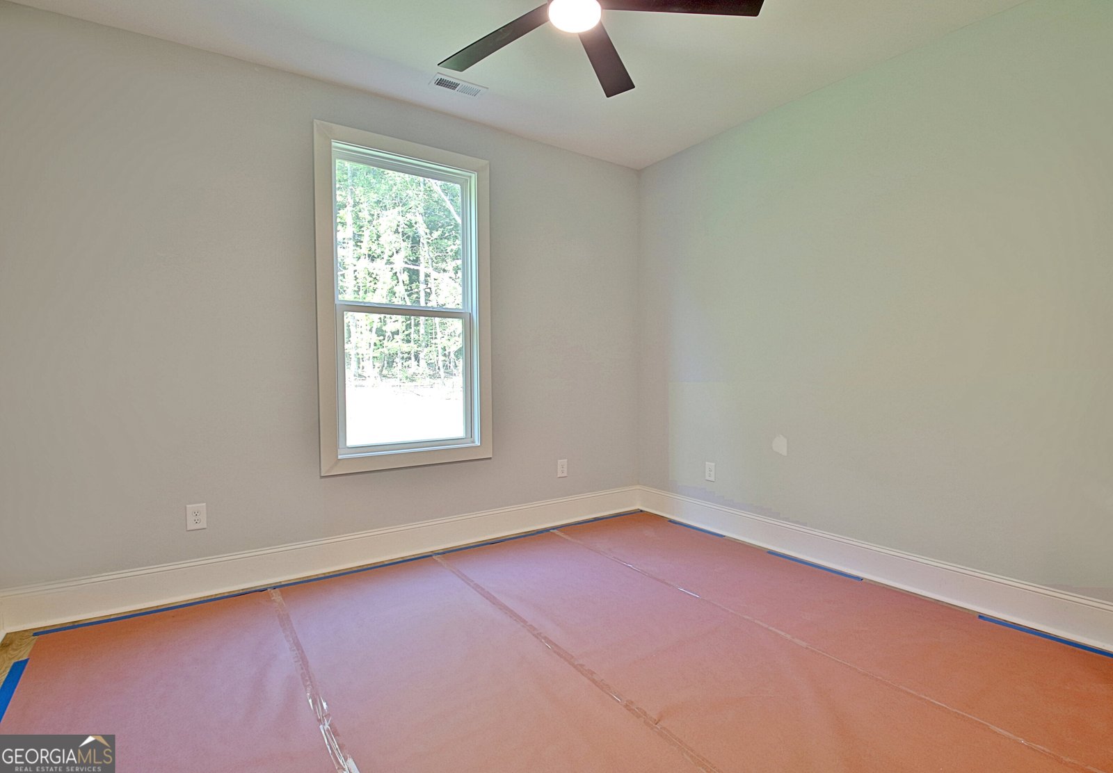 136 Ryeland Drive Senoia - 24