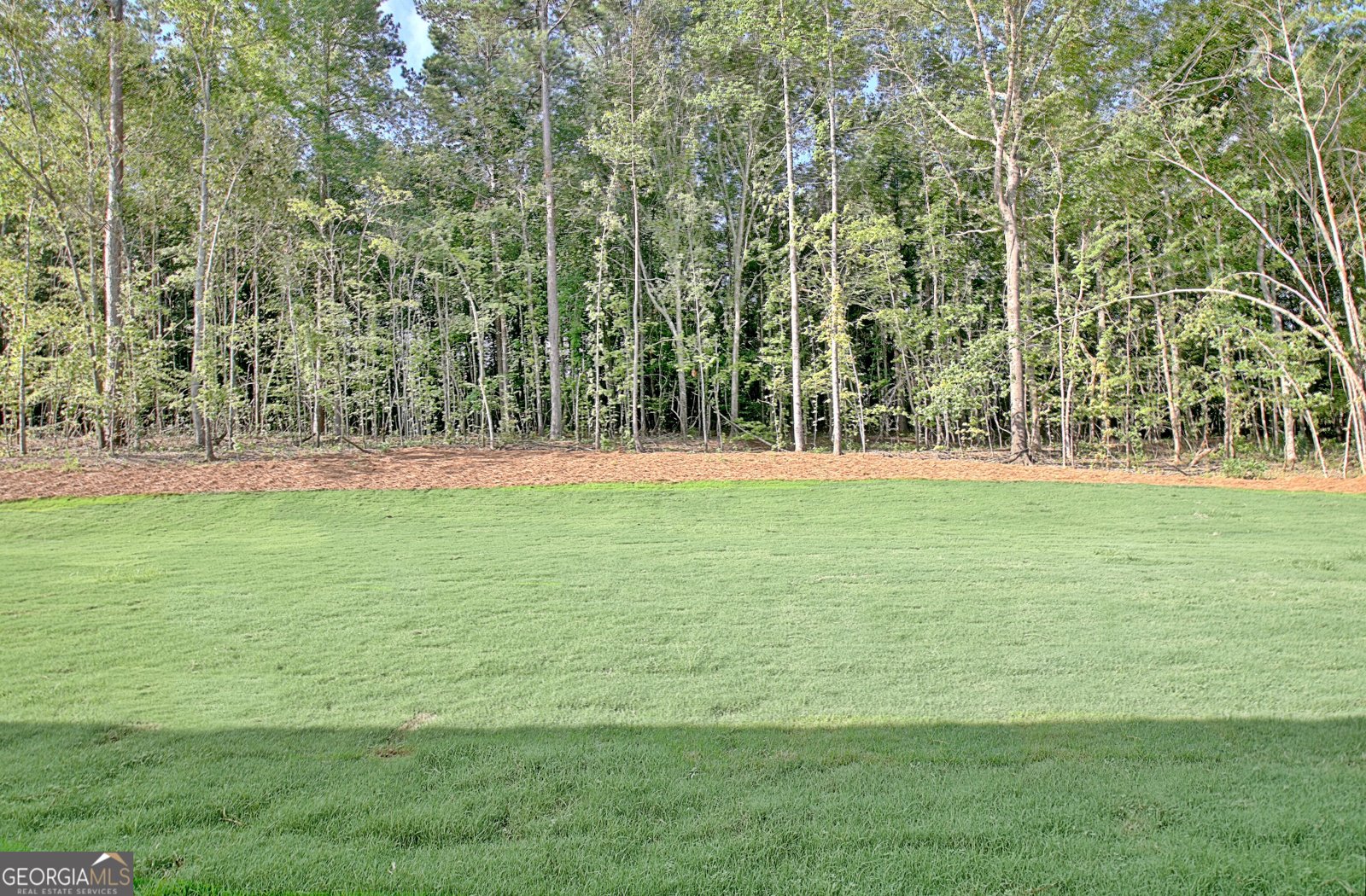136 Ryeland Drive Senoia - 27