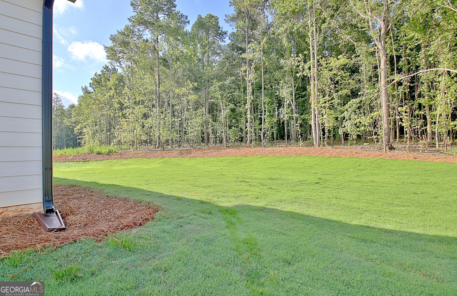 136 Ryeland Drive Senoia - 29