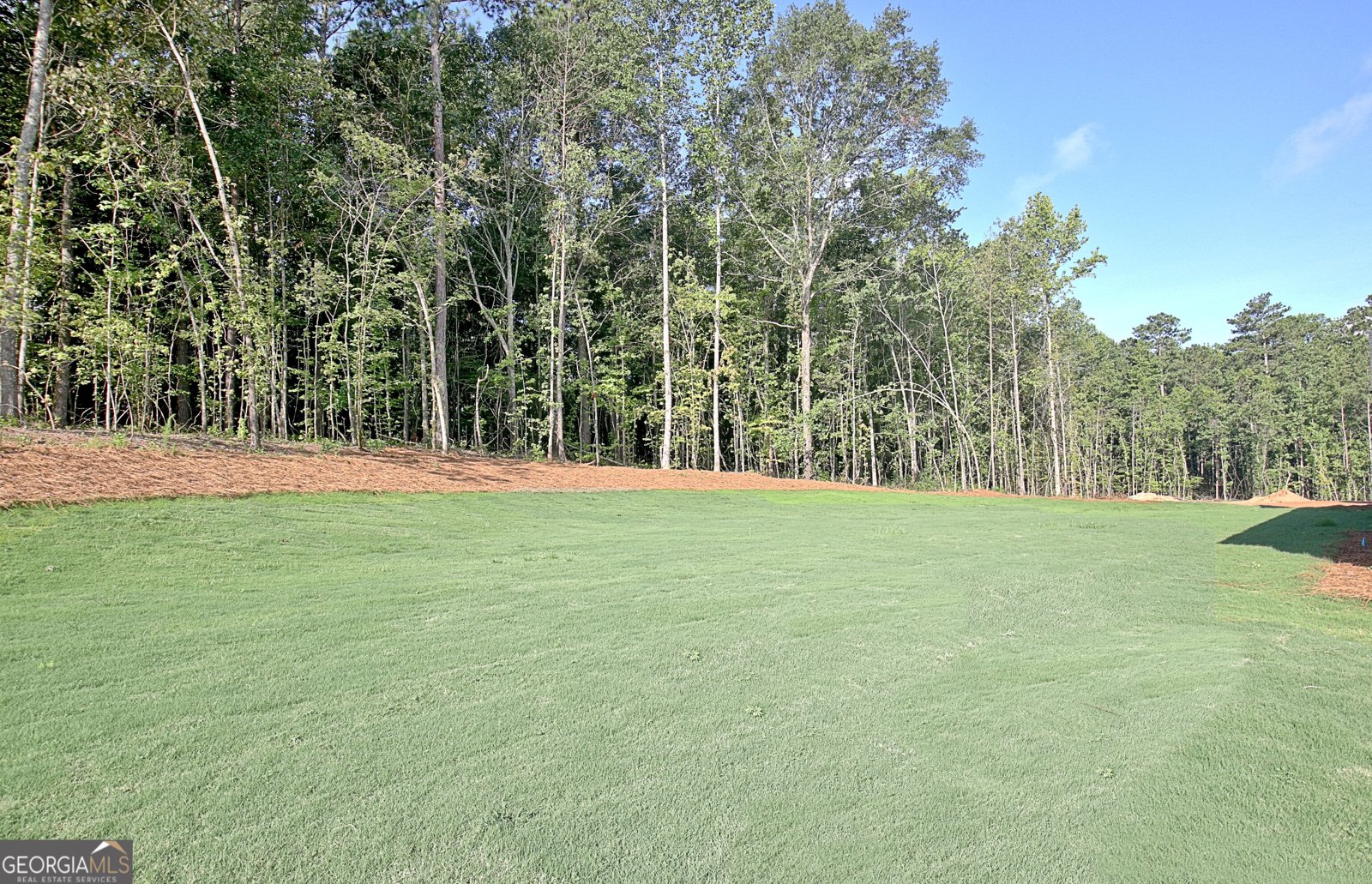 136 Ryeland Drive Senoia - 33