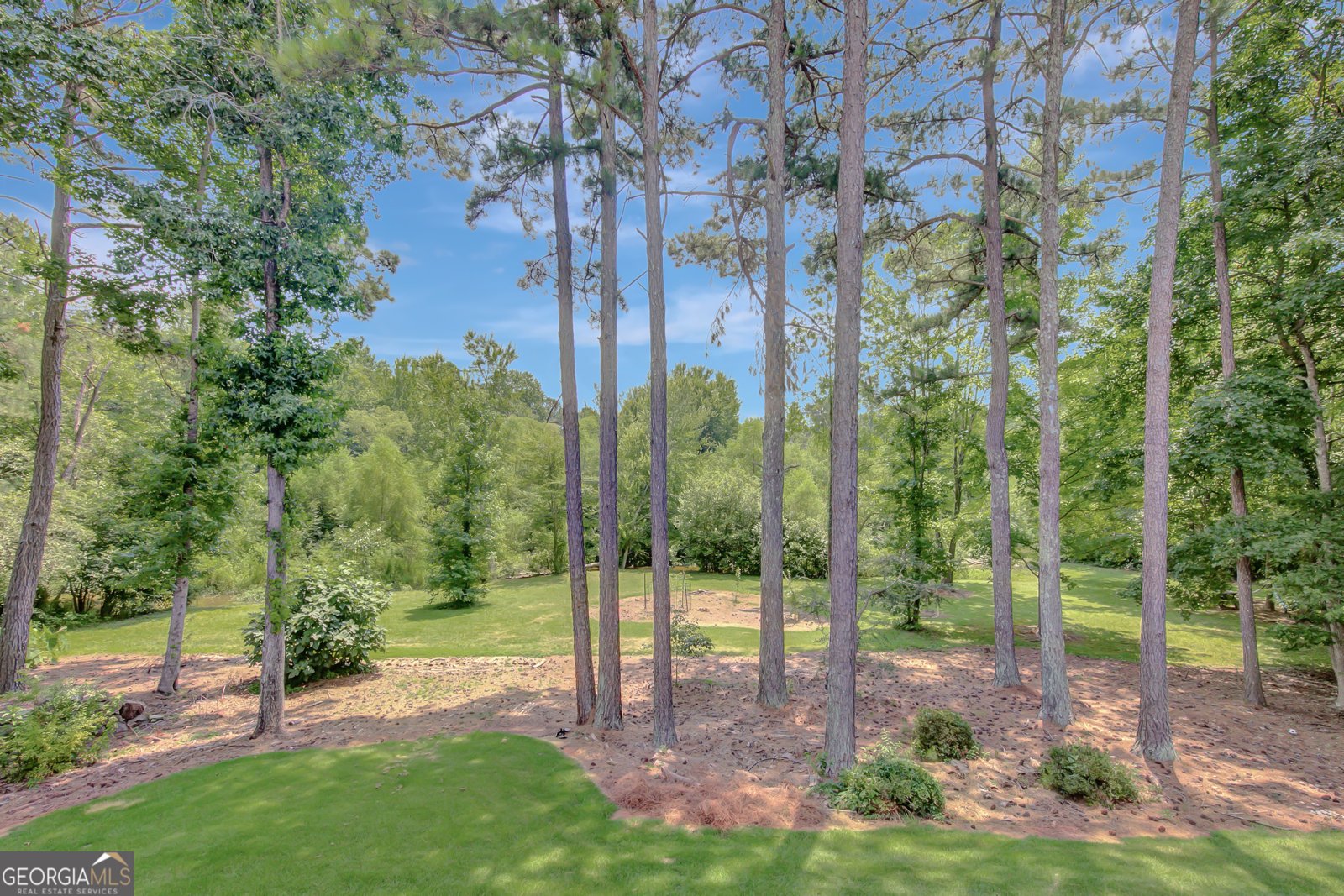 425 Lake Forest Drive Newnan - 52