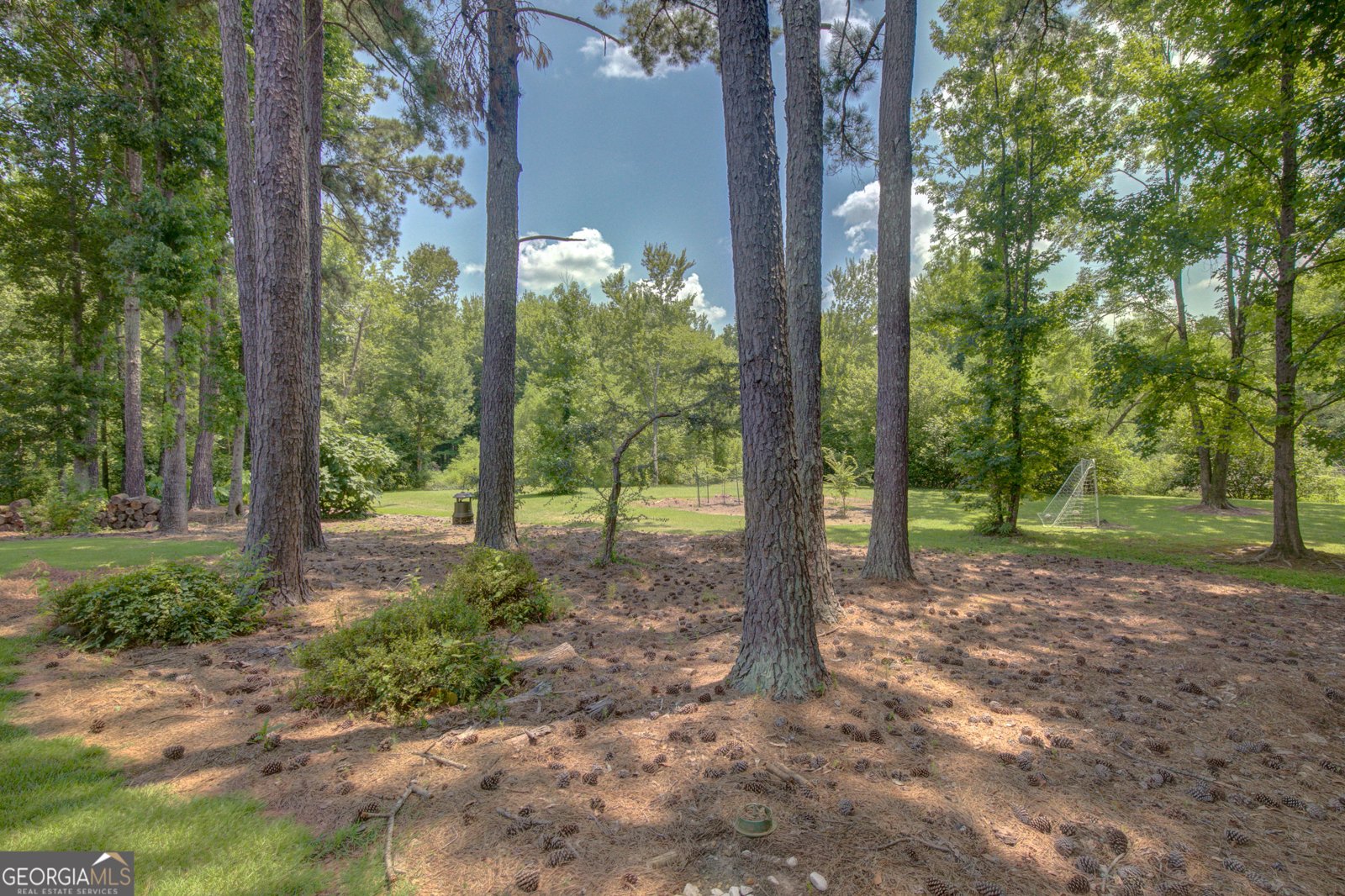 425 Lake Forest Drive Newnan - 8