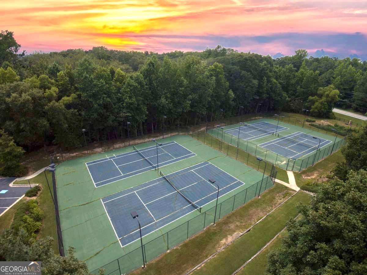 3933 Willow Fields Court Loganville - 36
