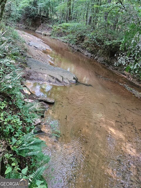 404 Blue Store Road Forsyth - 12