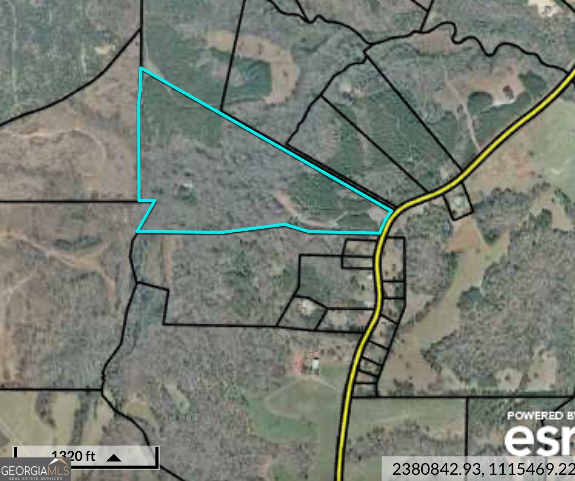 404 Blue Store Road Forsyth - 16