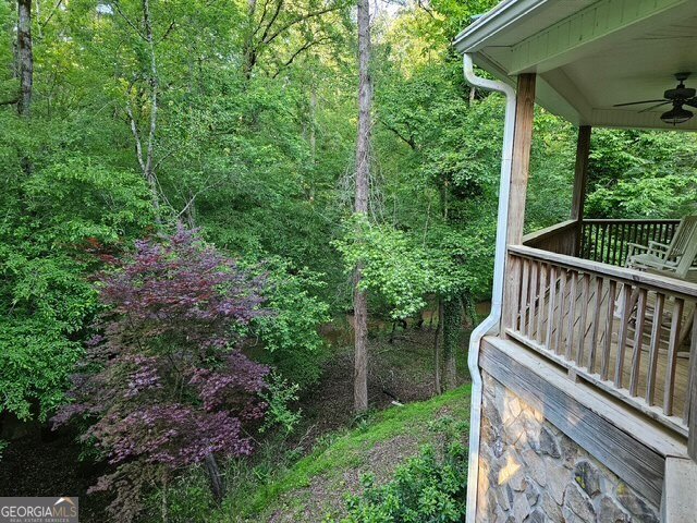404 Blue Store Road Forsyth - 2