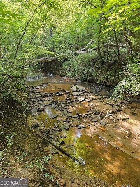 404 Blue Store Road Forsyth - 24
