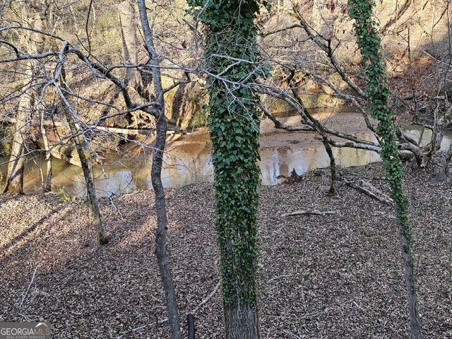 404 Blue Store Road Forsyth - 48