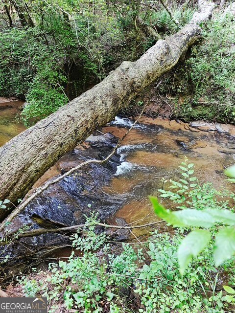 404 Blue Store Road Forsyth - 51
