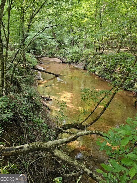 404 Blue Store Road Forsyth - 56