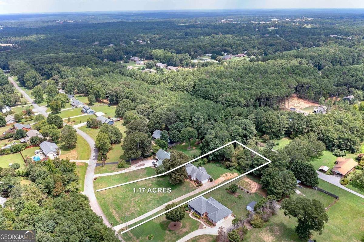 98 Country Acres Court Mcdonough - 22