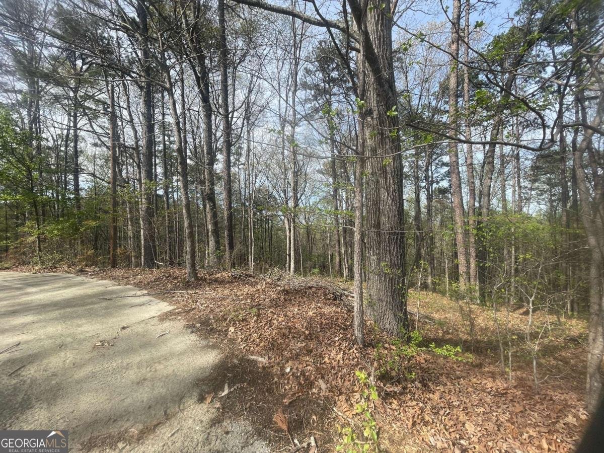 5098 Gwendolyn Court Acworth - 11