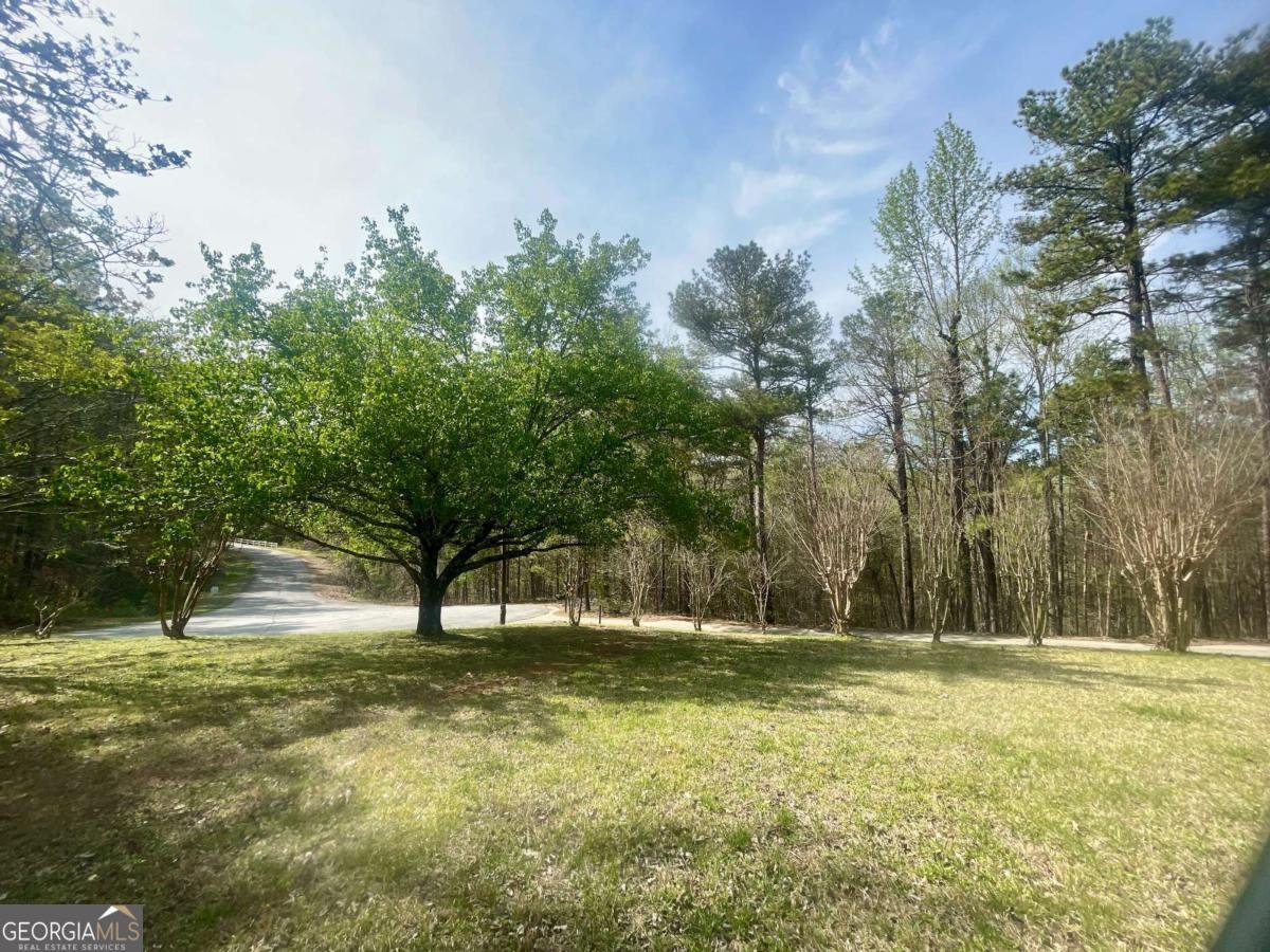 5098 Gwendolyn Court Acworth - 8
