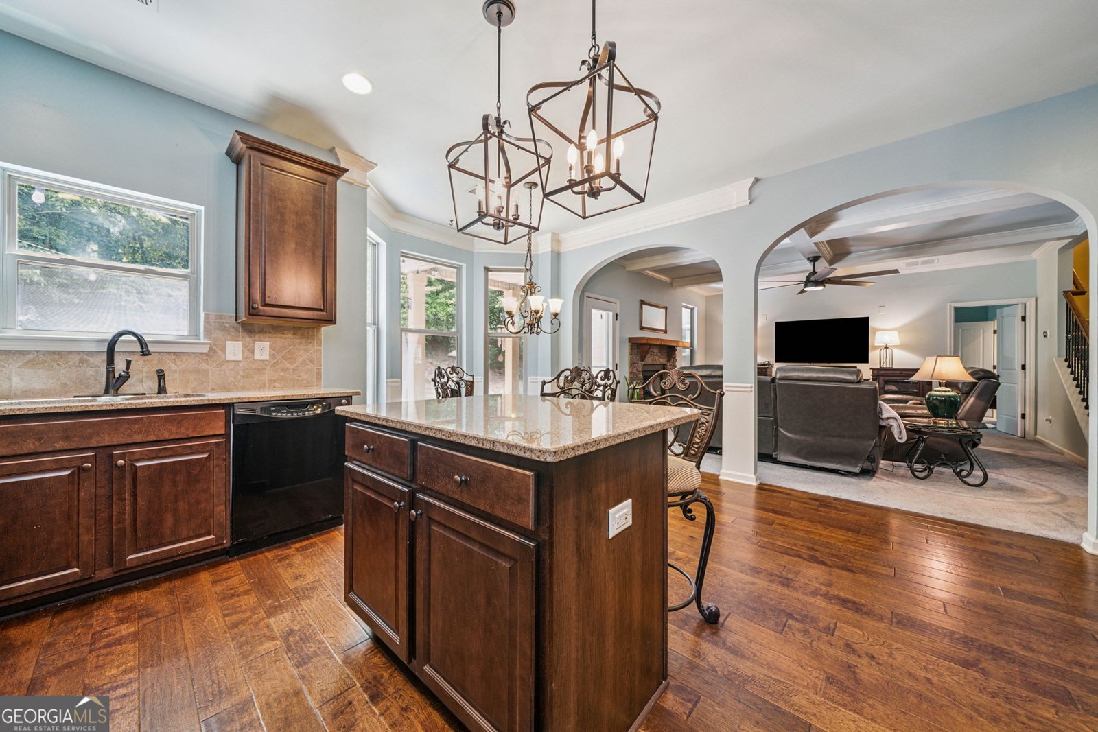 251 Manous Way Canton - 11