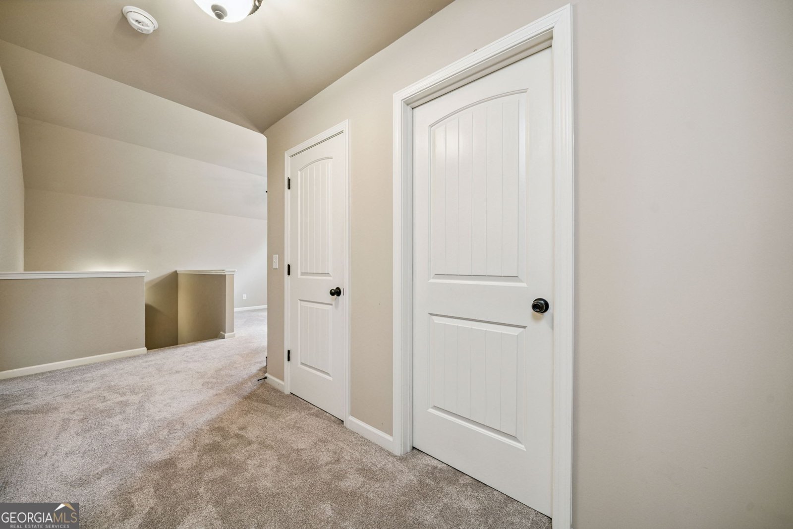 251 Manous Way Canton - 36