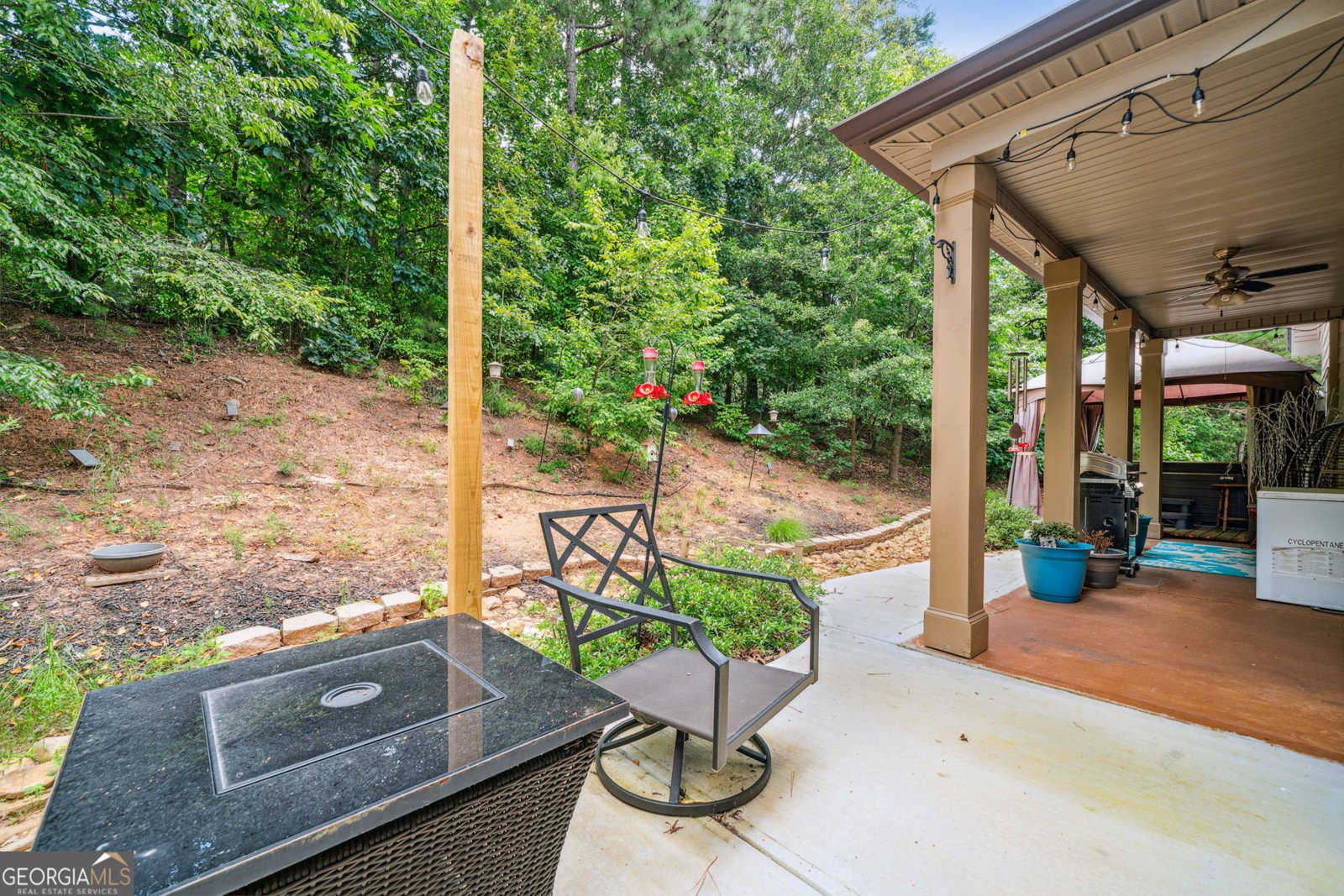 251 Manous Way Canton - 40