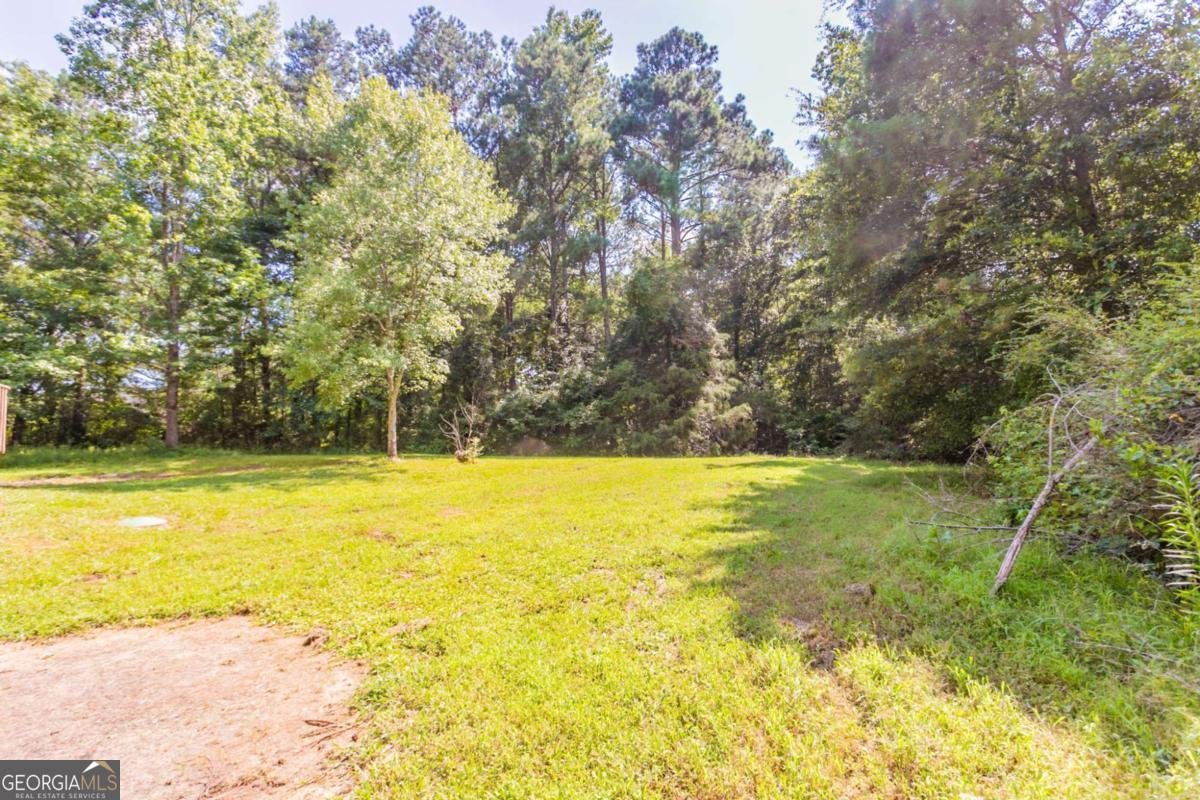 140 Beverly Park Court Newnan - 29