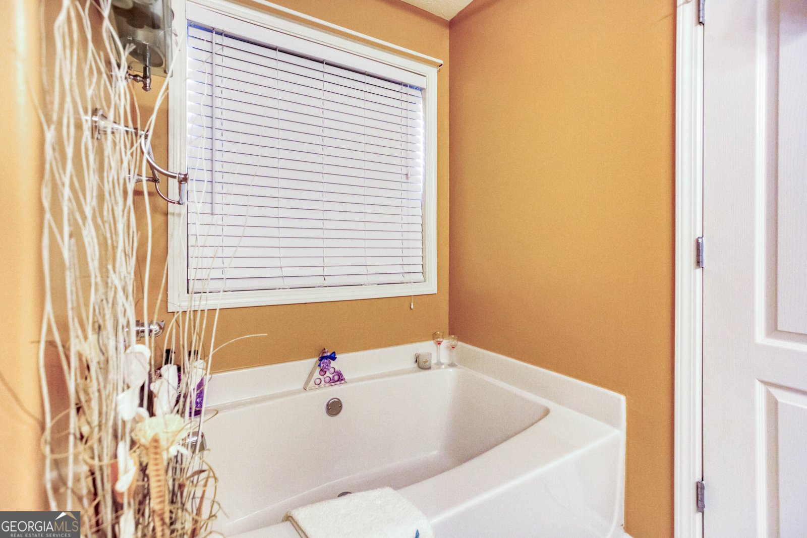 407 Gladiola Drive Auburn - 30
