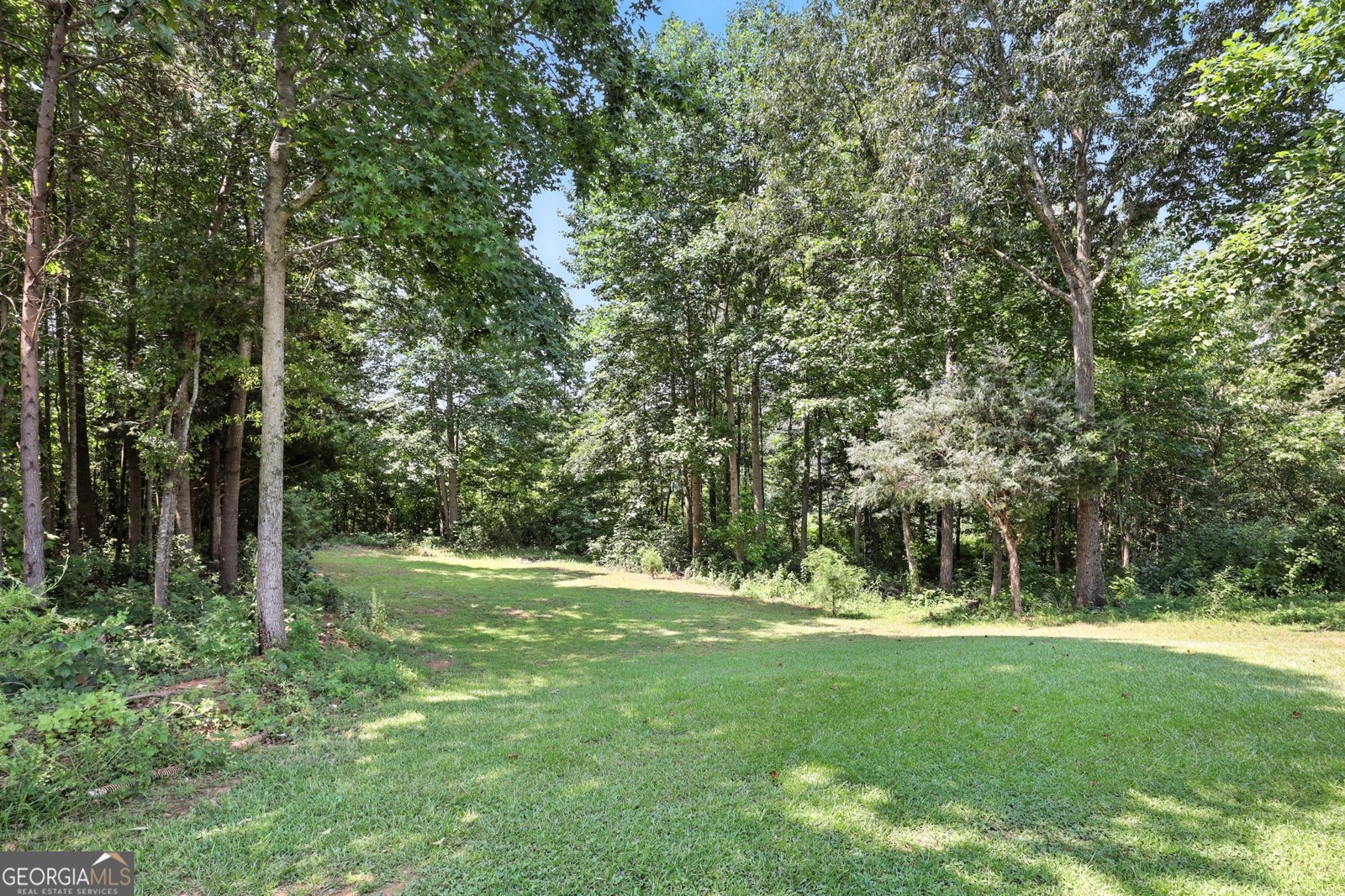 227 Gooseway Road Eastanollee - 4