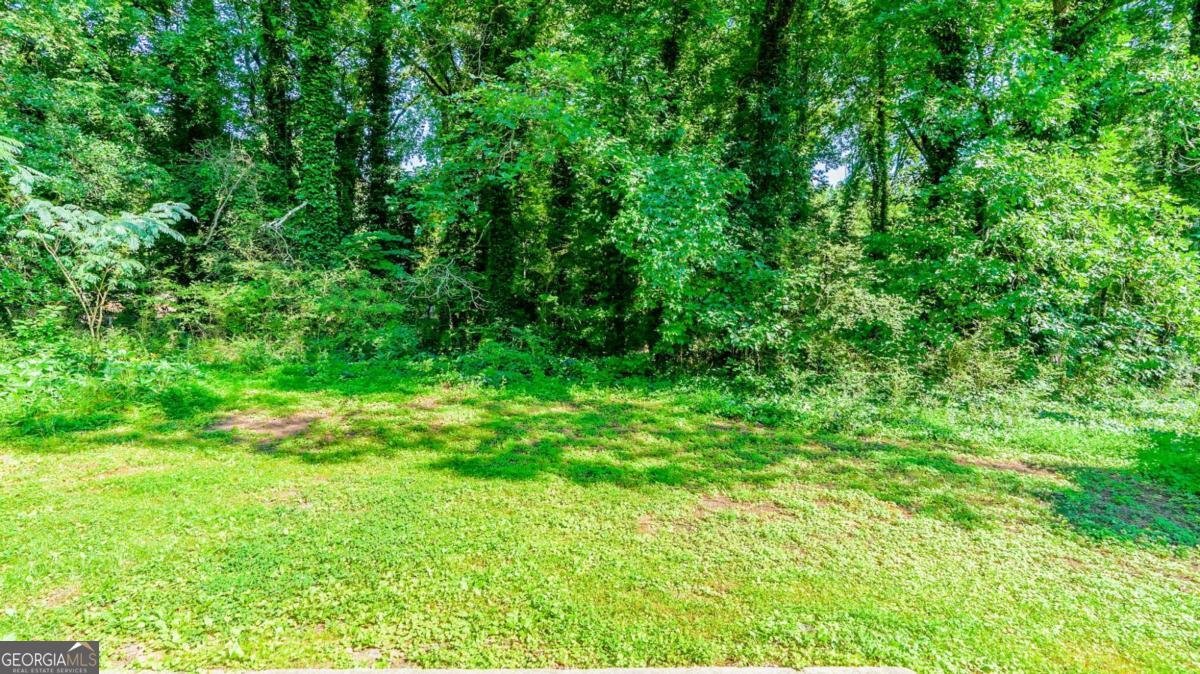4623 Birch Ridge Trail Stone Mountain - 23