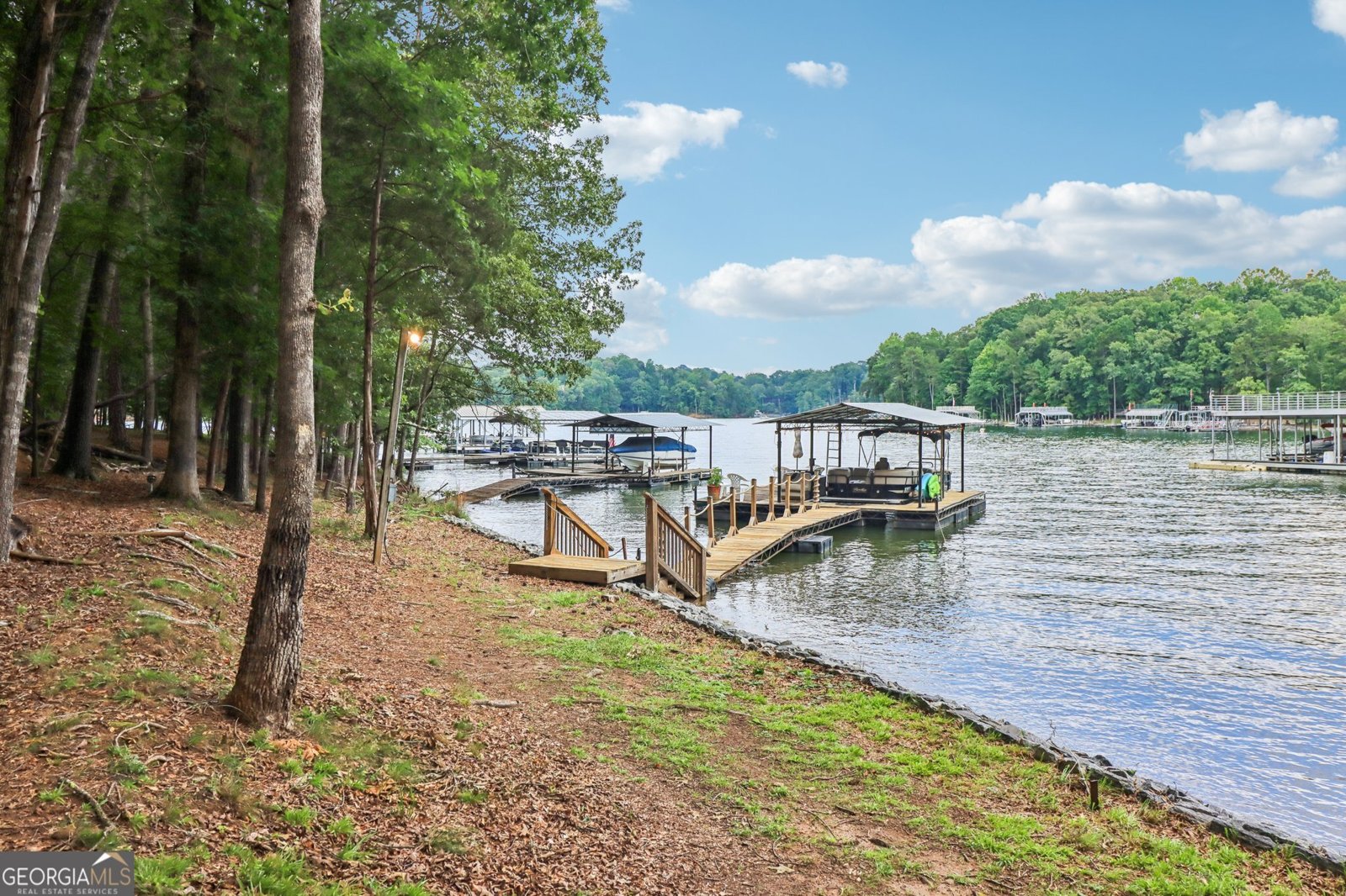 80 Eastview Drive Dawsonville - 7