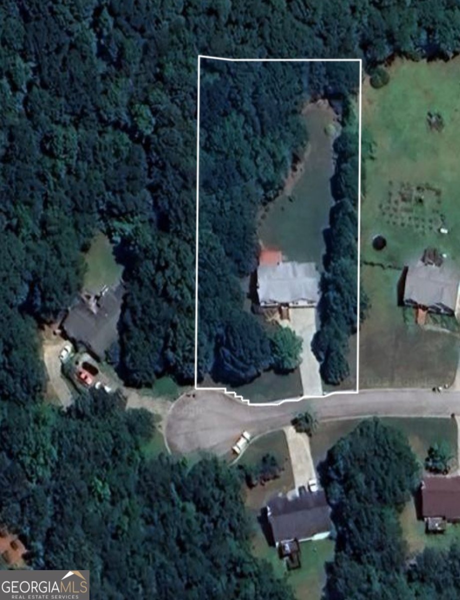 332 Black Willow Court Locust Grove - 2