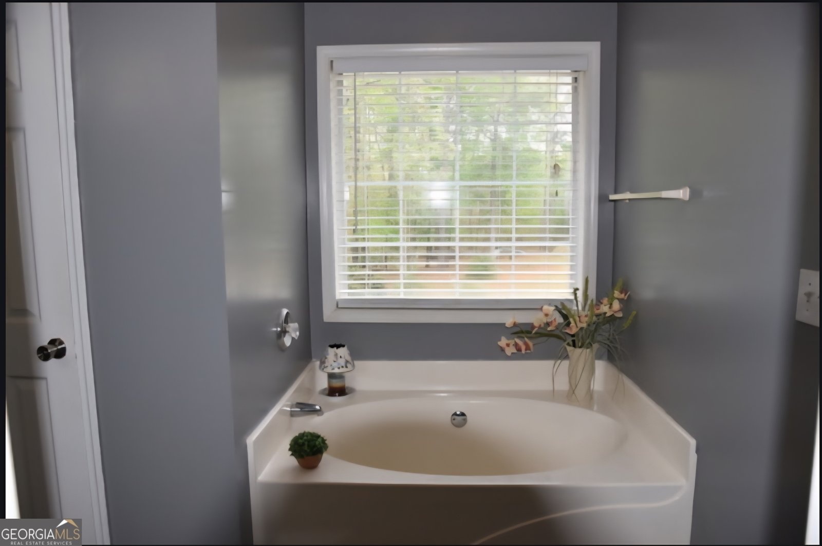 332 Black Willow Court Locust Grove - 22