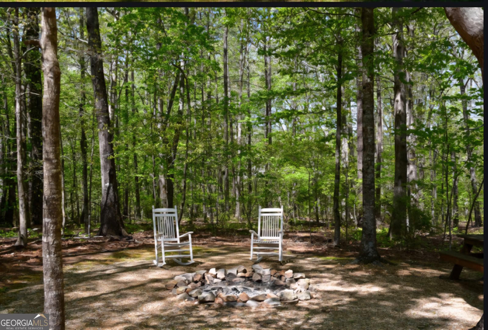 332 Black Willow Court Locust Grove - 28
