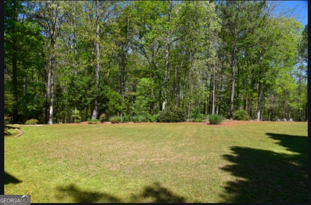 332 Black Willow Court Locust Grove - 29