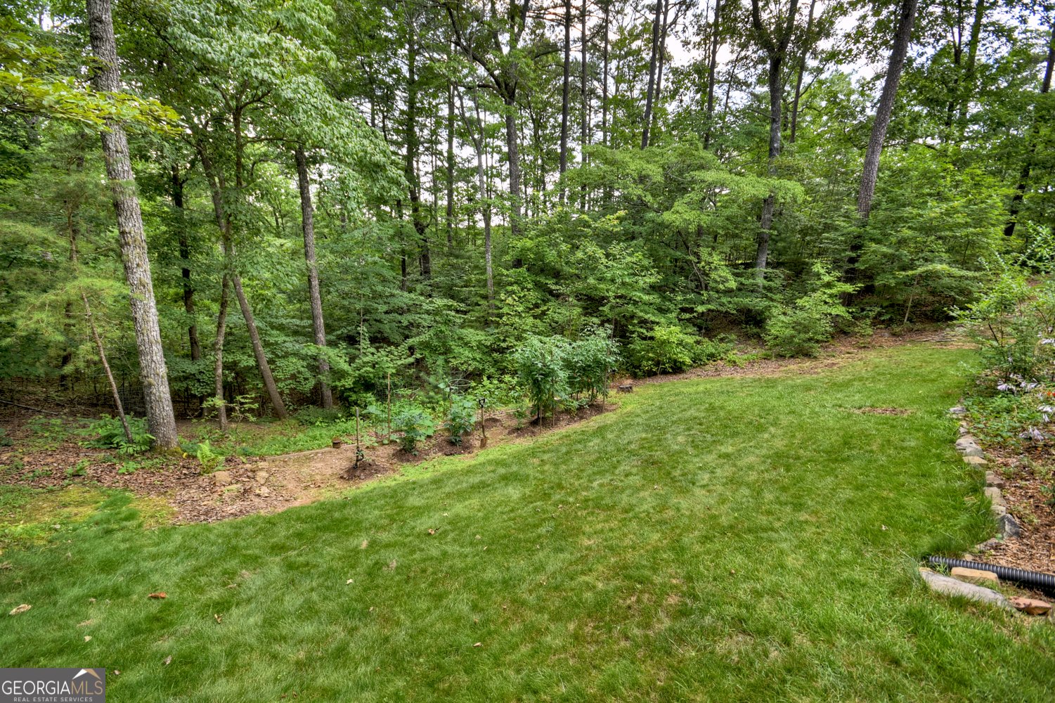 740 Highland Gap Mineral Bluff - 10