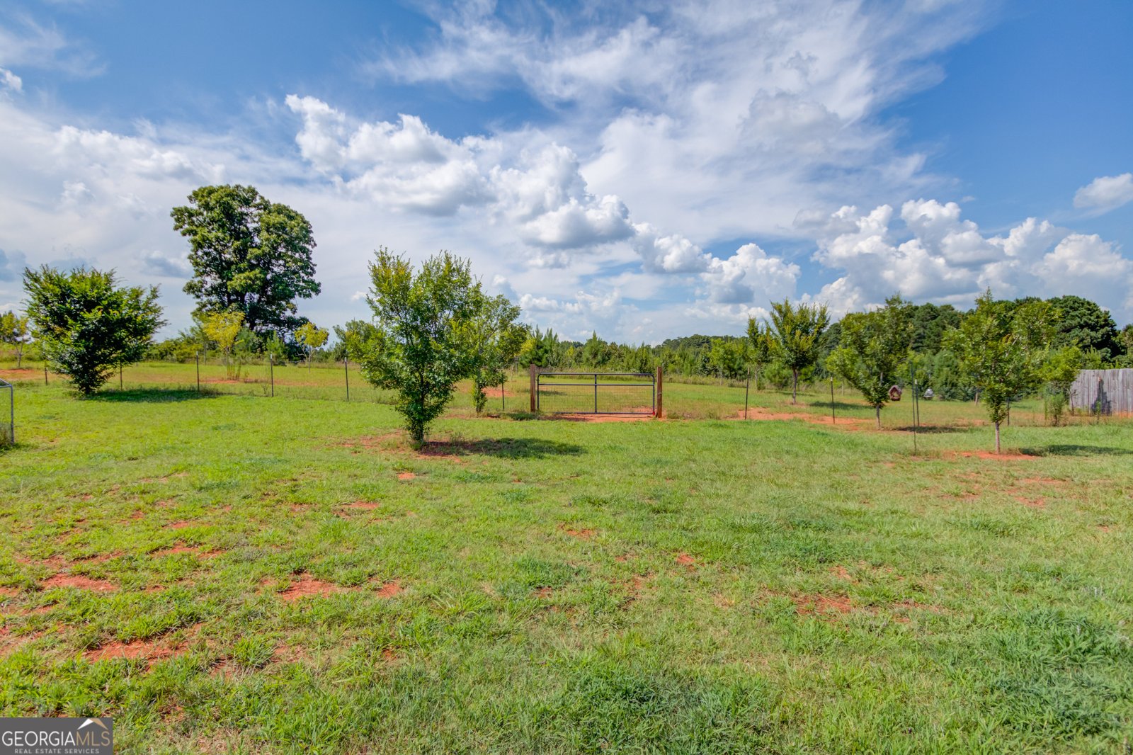 829 Colvin Drive Locust Grove - 10