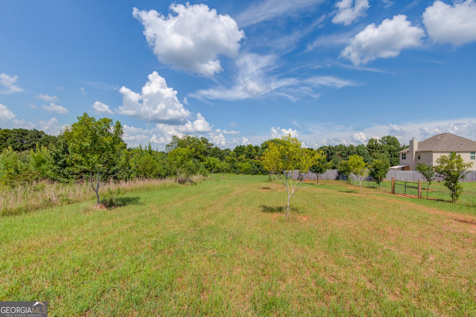 829 Colvin Drive Locust Grove - 11