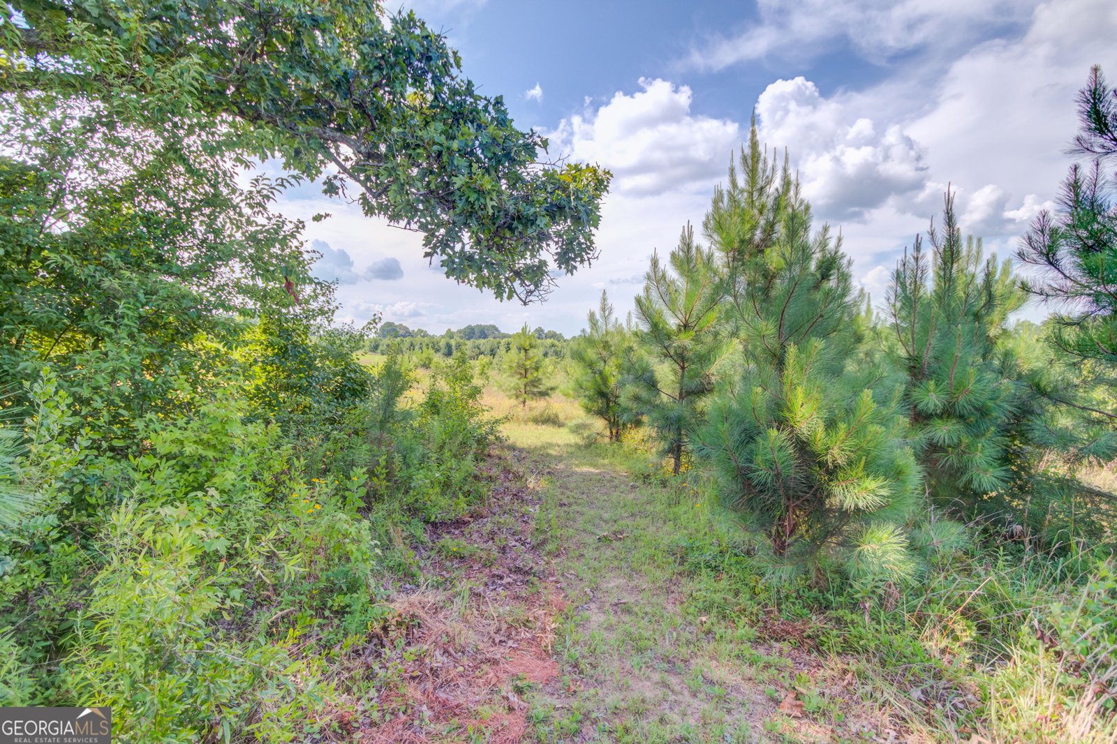 829 Colvin Drive Locust Grove - 16