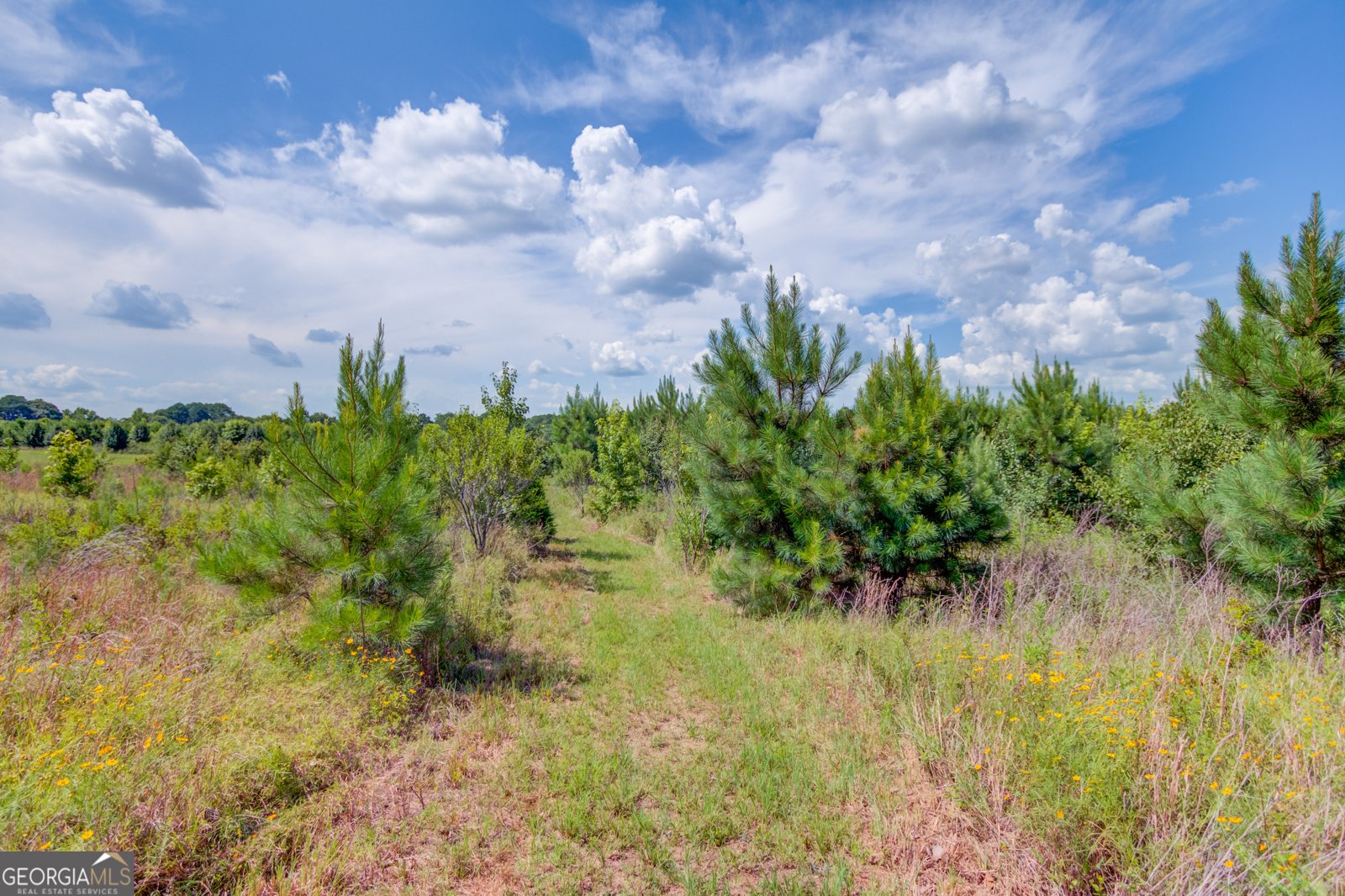 829 Colvin Drive Locust Grove - 17