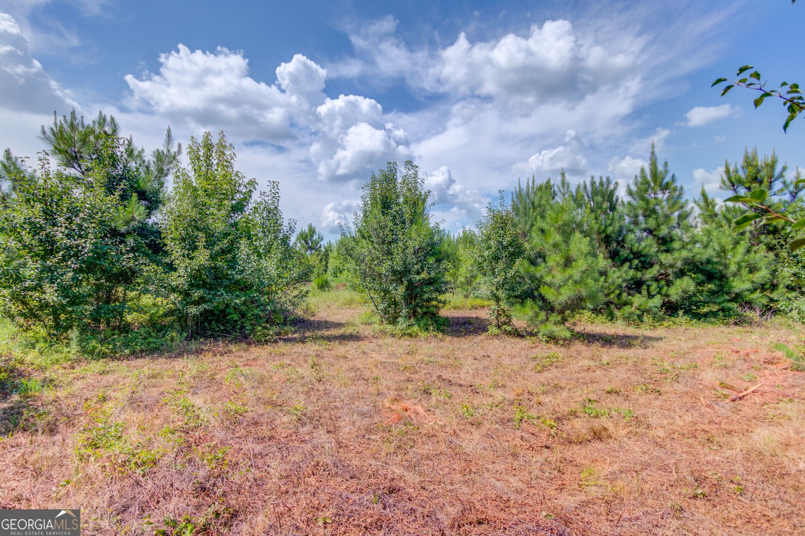 829 Colvin Drive Locust Grove - 18
