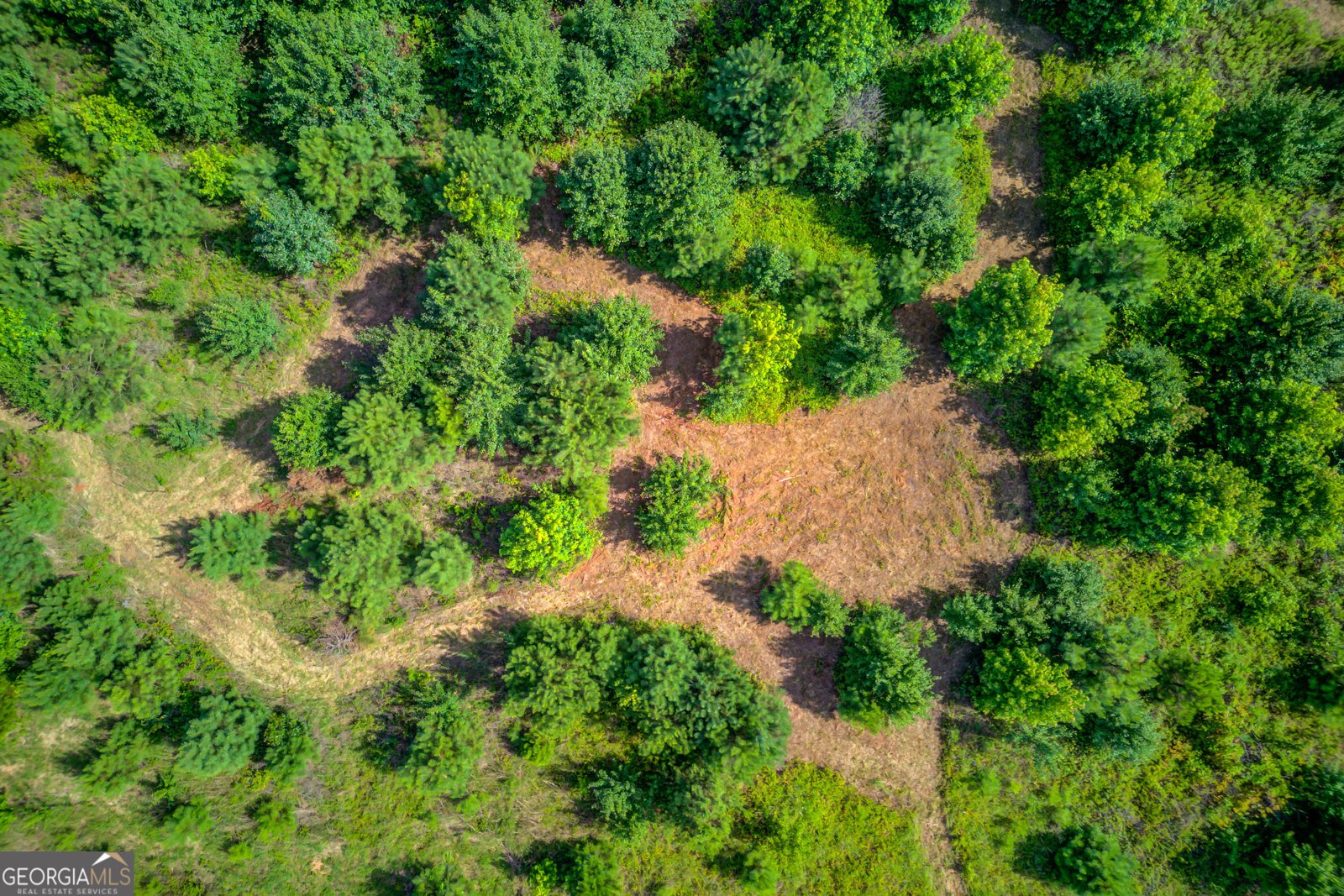 829 Colvin Drive Locust Grove - 19