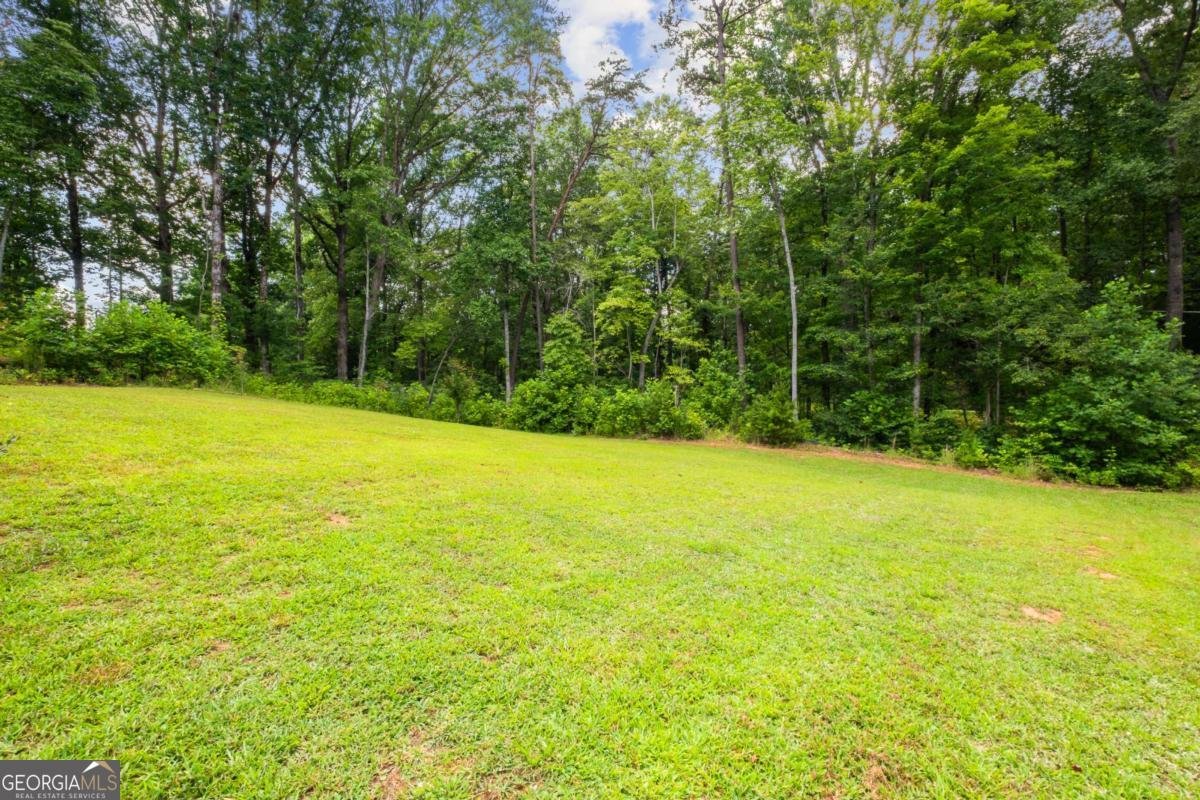 1698 Joe Black Road Sautee Nacoochee - 6