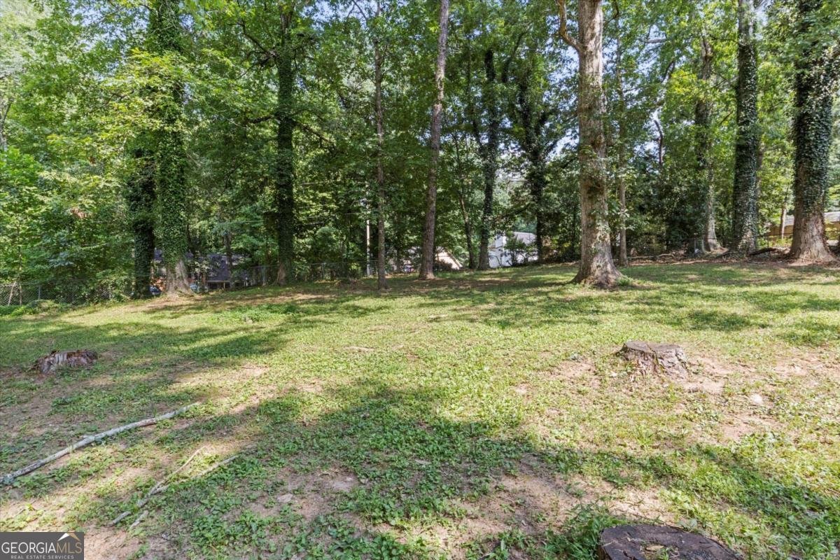 507 ALLANA Court Stone Mountain - 31