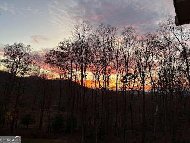 2068 Gallatin Road Young Harris - 62