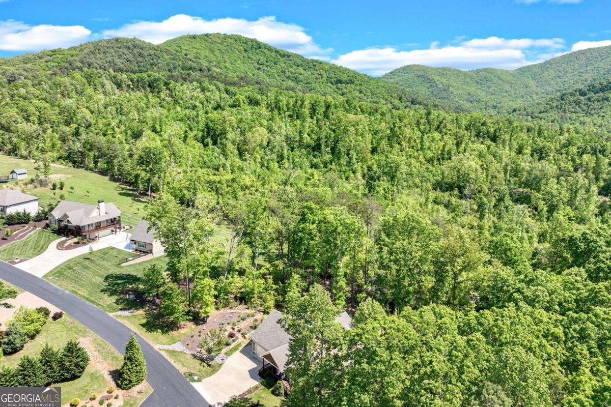 2068 Gallatin Road Young Harris - 66