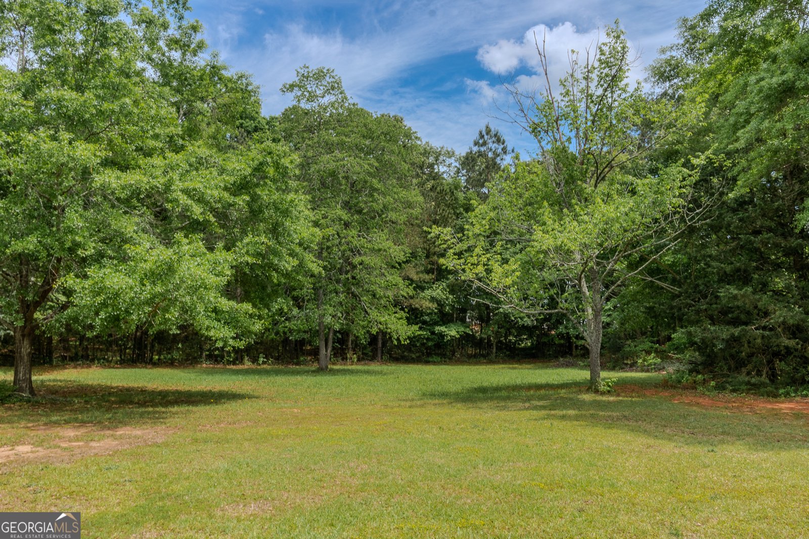 1170 Peeksville Road Locust Grove - 9