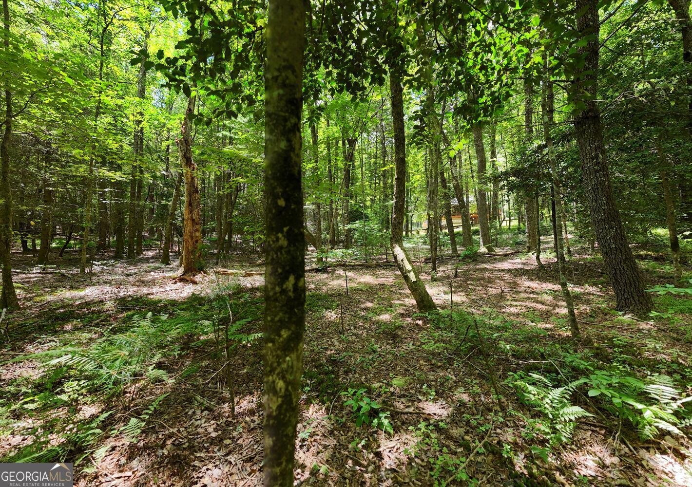 550 Watson Road Epworth - 58
