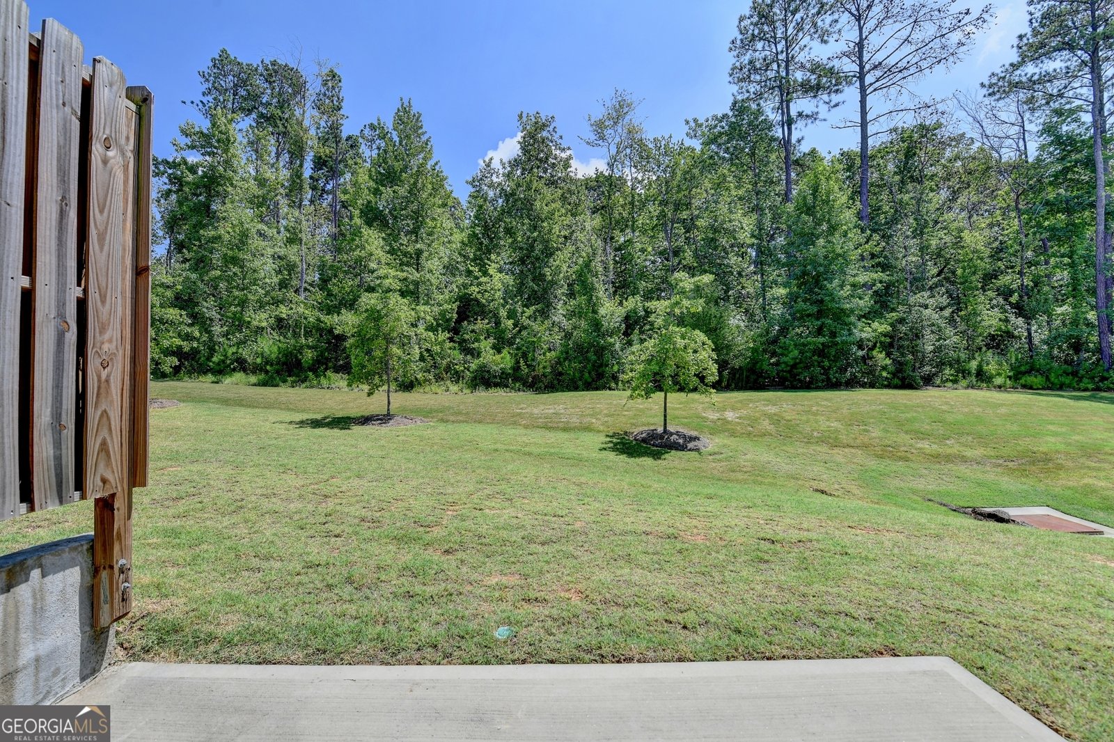 2459 Richmond Row Drive Suwanee - 31