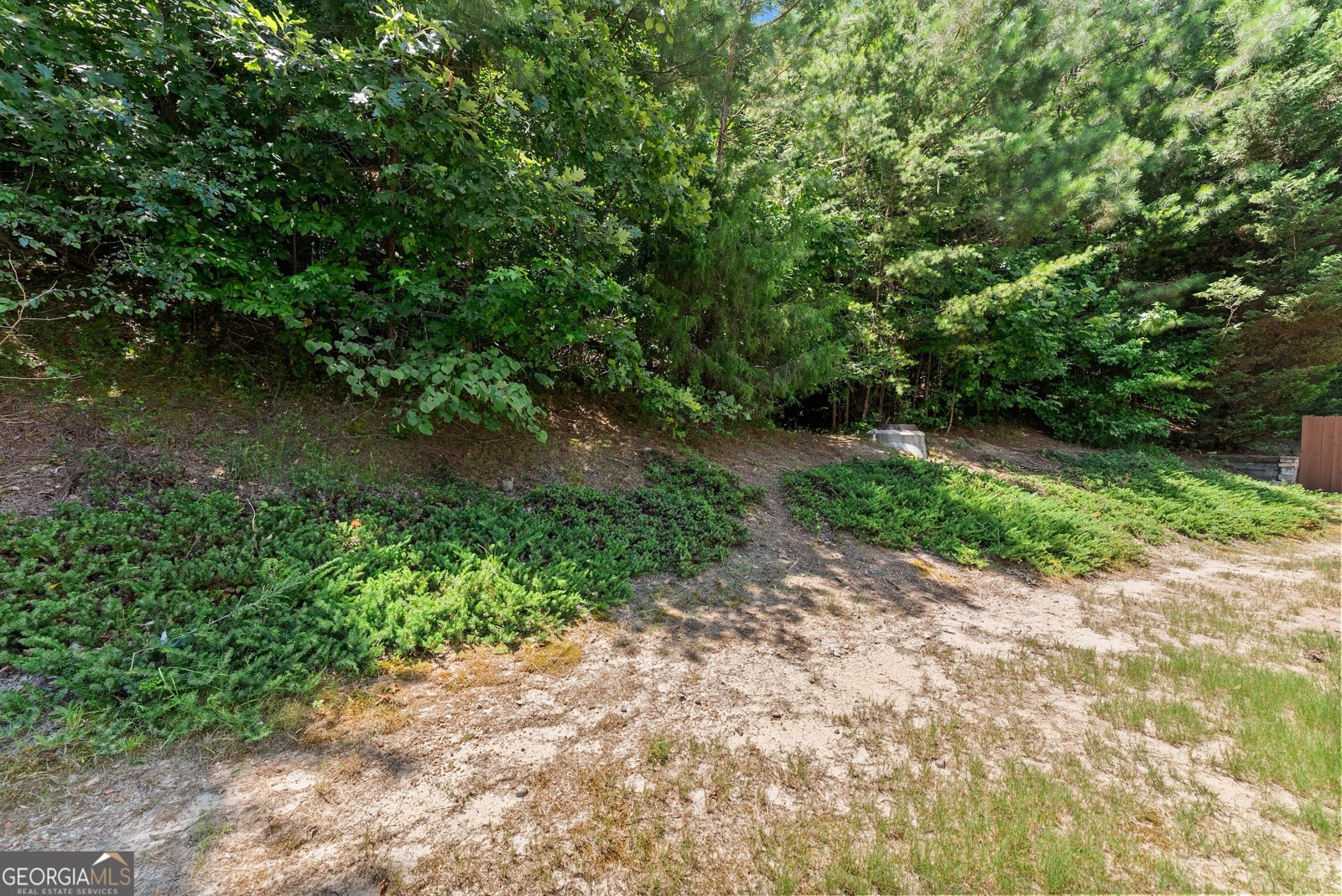 6377 Barker Station Walk Sugar Hill - 3