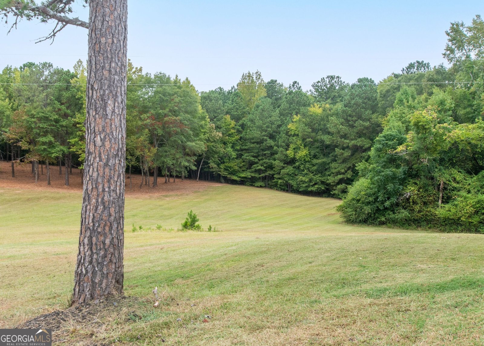 375 Luther Bailey Road Senoia - 32