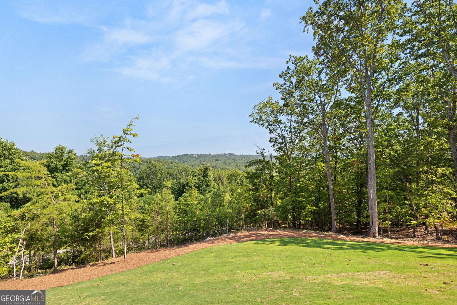 103 Planters Pointe Court Baldwin - 38