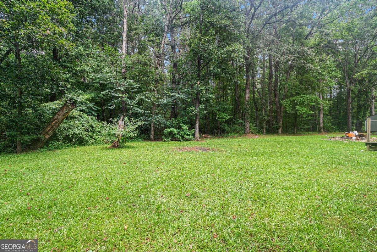 4060 Grove Trail Loganville - 20