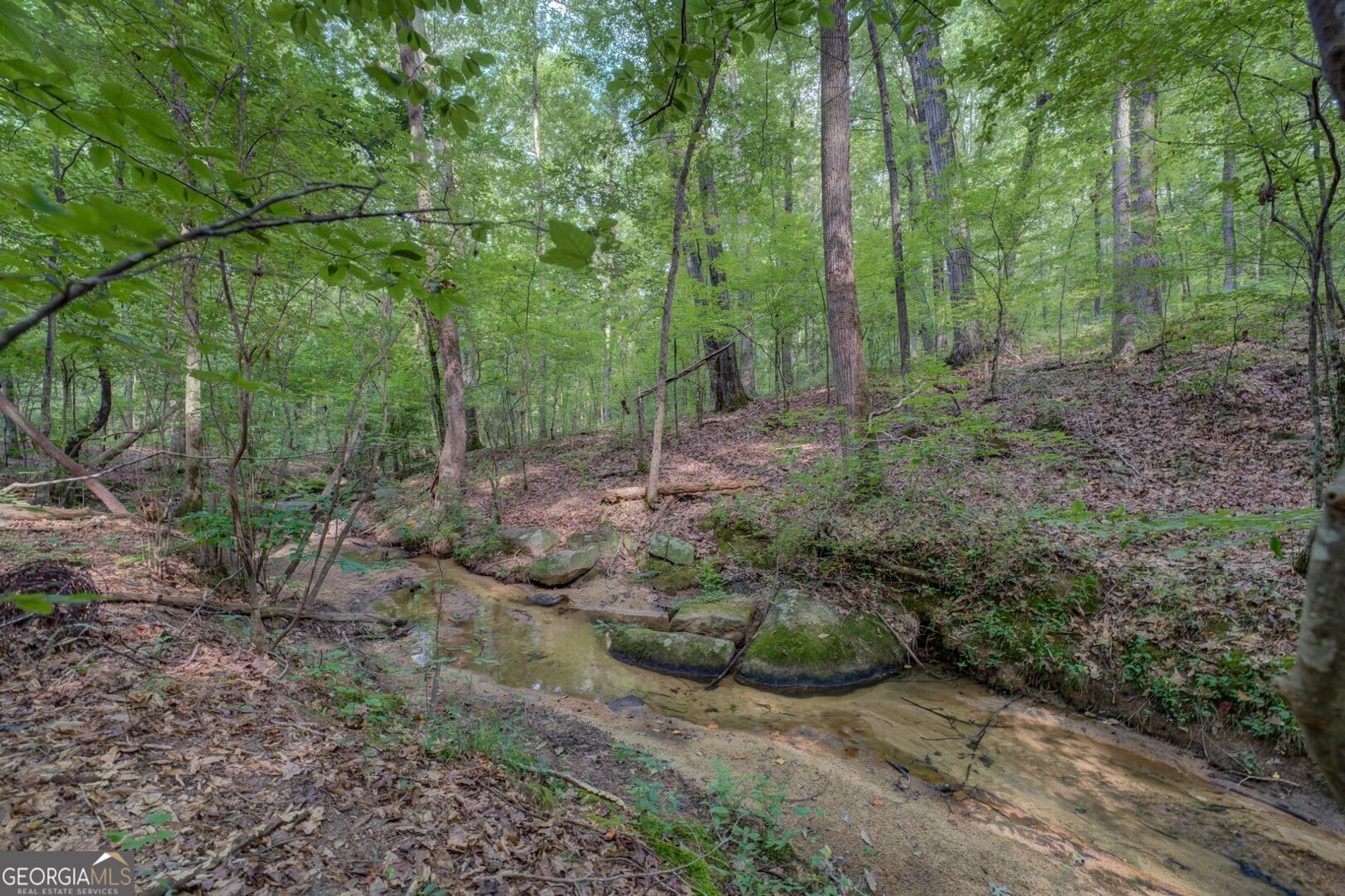 830 Rocky Creek Road Mansfield - 63